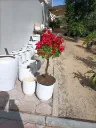 IMG20260419091027.webp