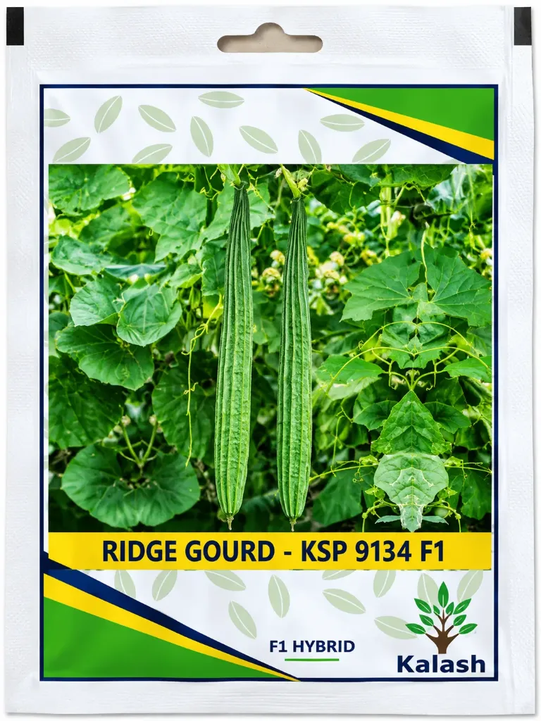 [KSP-9134-F1] Kalash - Ridge Gourd - Seeds -F1 Hybrid
